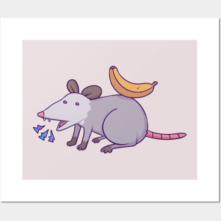 Banana Possum Posters and Art